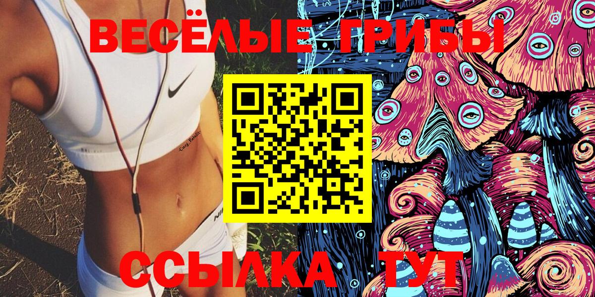 Псилоцибиновые грибы мицелий Советск